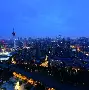 包含棒球夜战：海滨飞鹰队绝杀瓯越犀牛队，速度优势明显目标直指冠军的词条
